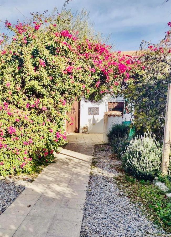Lavender Almeria Homestay Arboleas