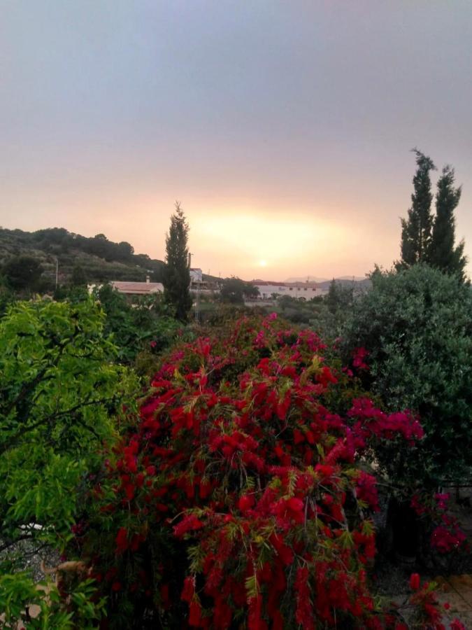 Lavender Almeria Homestay Arboleas