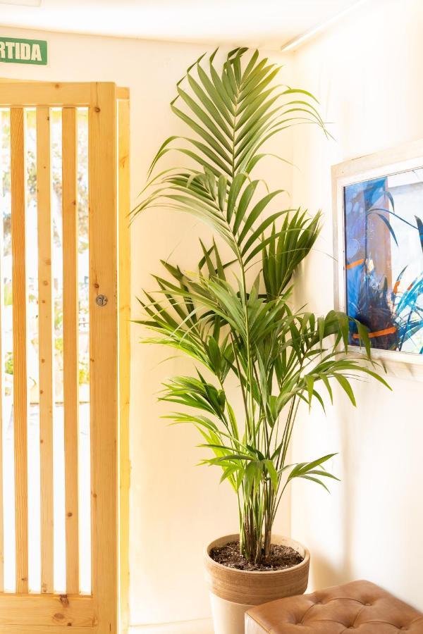 Sitges Beach Hostal