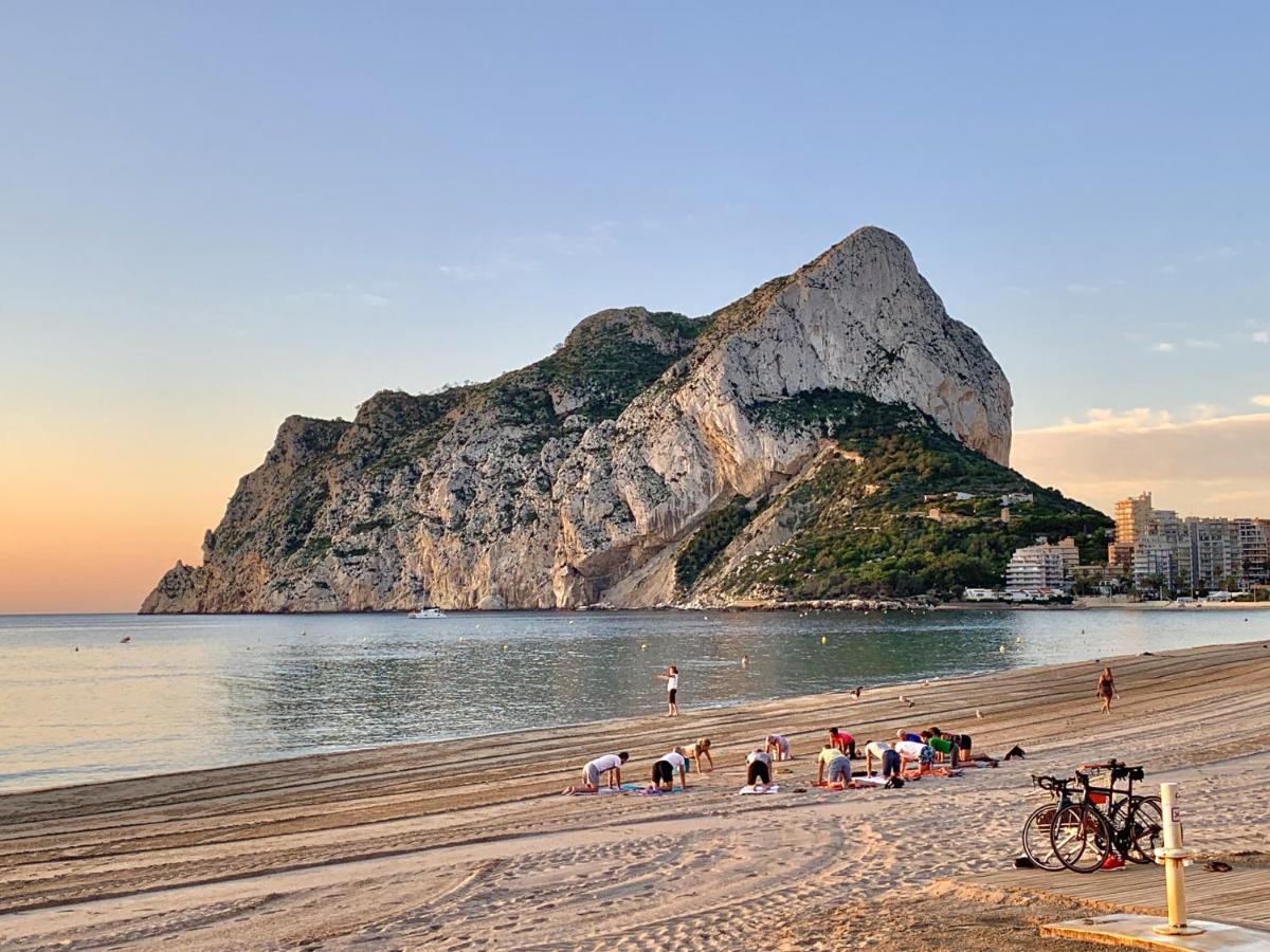 Hipocampos Rent Calpe
