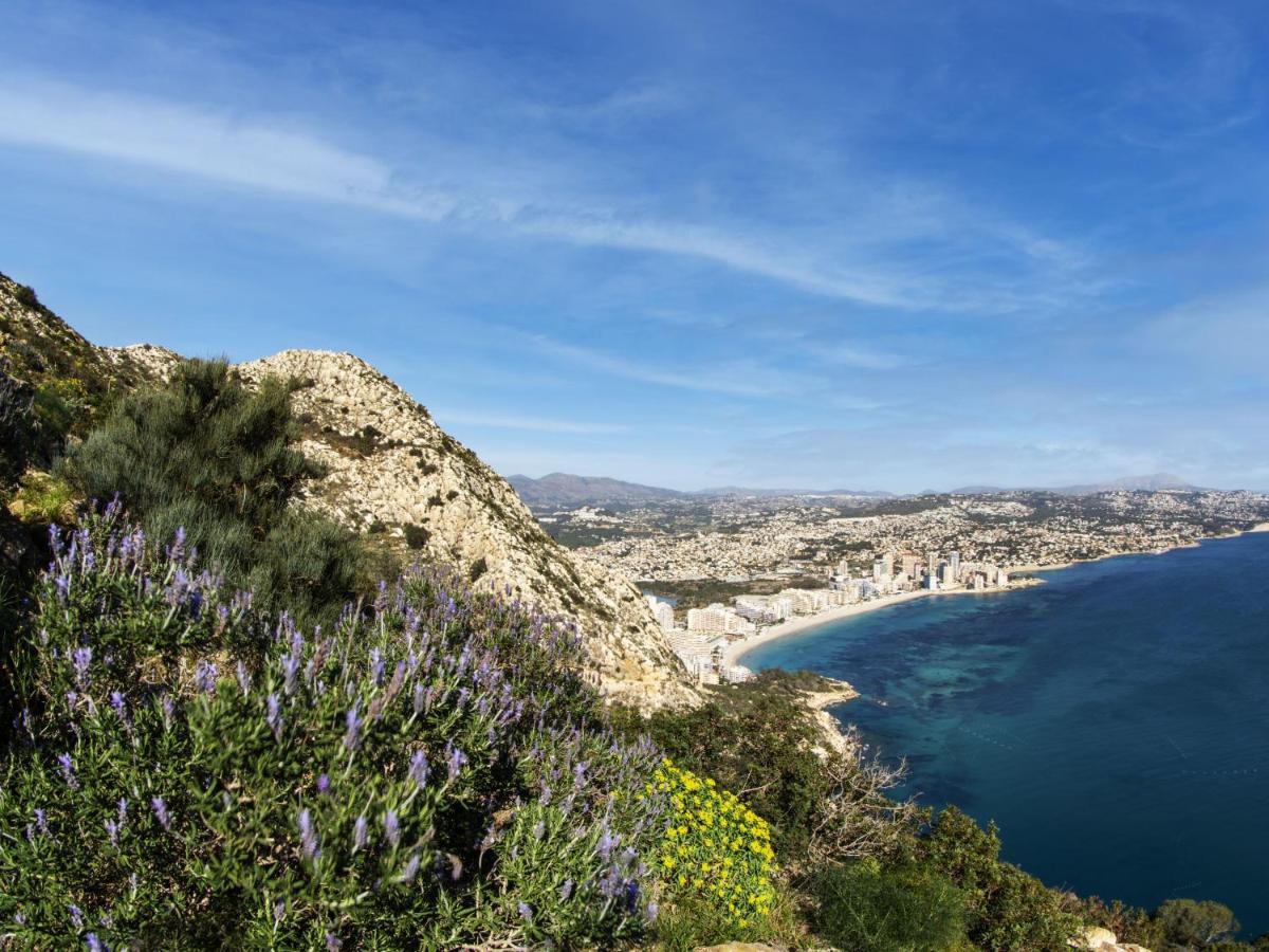 Hipocampos Rent * Calpe