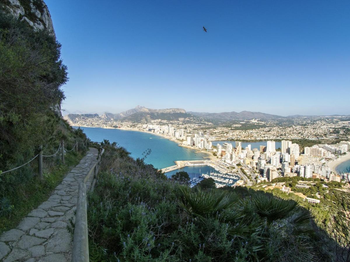 Hipocampos Rent Apartamento