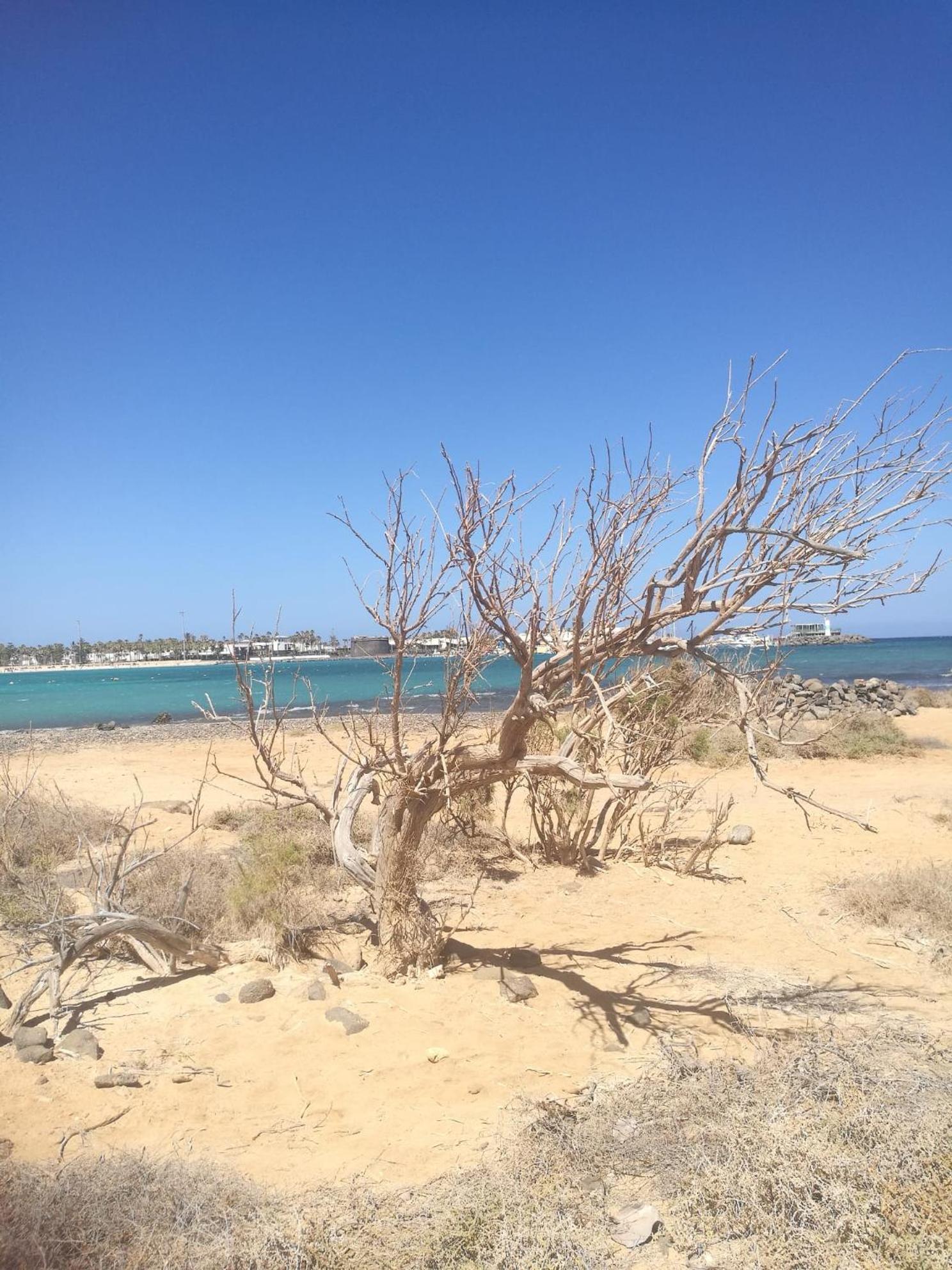 Belle Vue Triplex On The Hill Apartment Caleta De Fuste