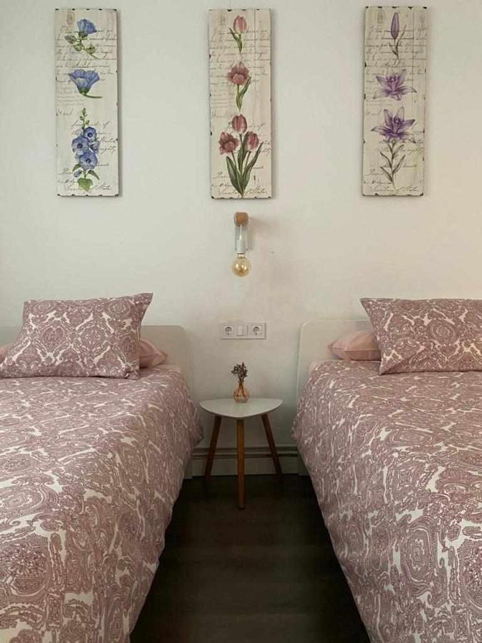 Apartment Ayla Camino De Santiago *