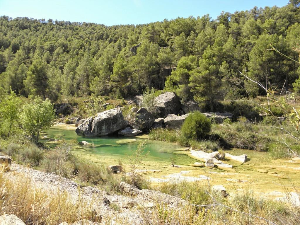 Enoturismo Celler Piñol *