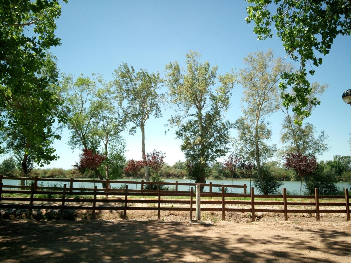 Apartamento Descans Del Delta. Camarles