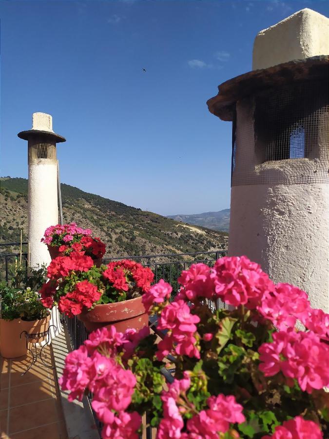 Holiday home La Casa Del Estanco Berchules
