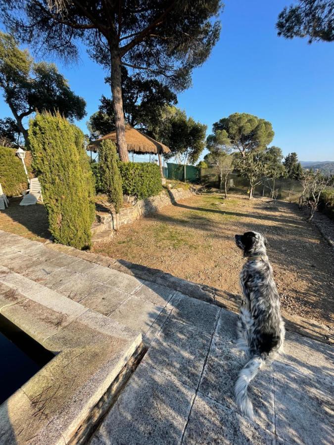 Herlinda Costa Brava - With Swiming Pool Сasa de vacaciones *