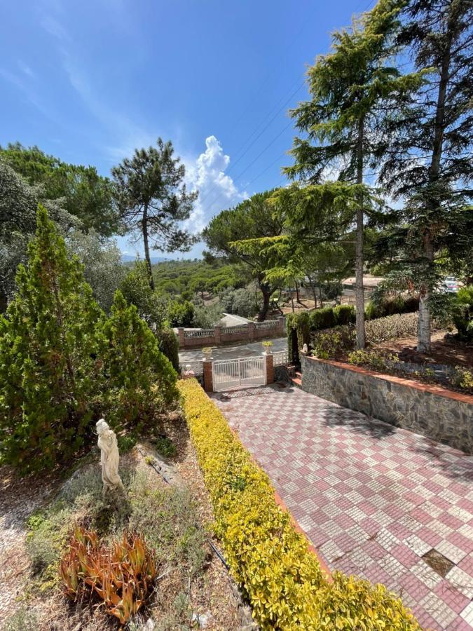 Herlinda Costa Brava - With Swiming Pool Holiday home Massanet De La Selva