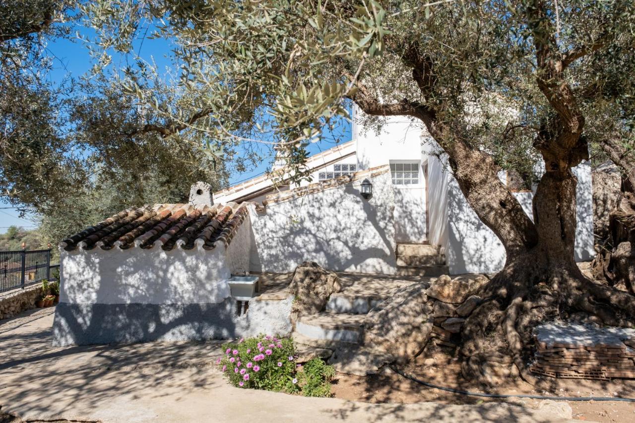 Cortijo Salva Сasa de vacaciones