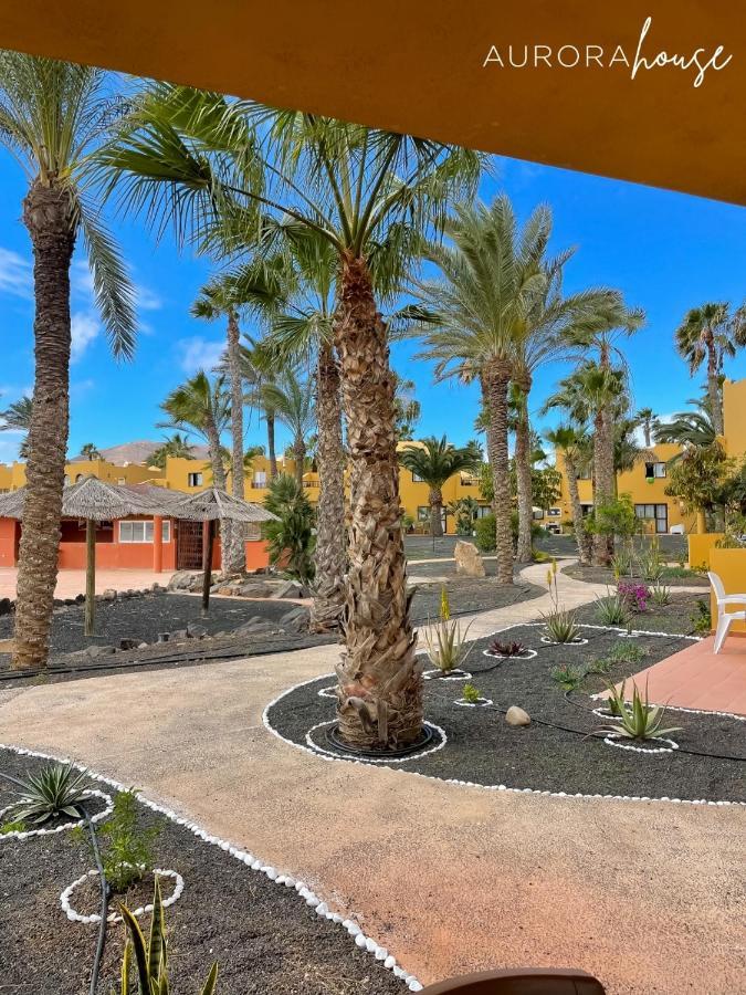 Apartamento Aurora House *