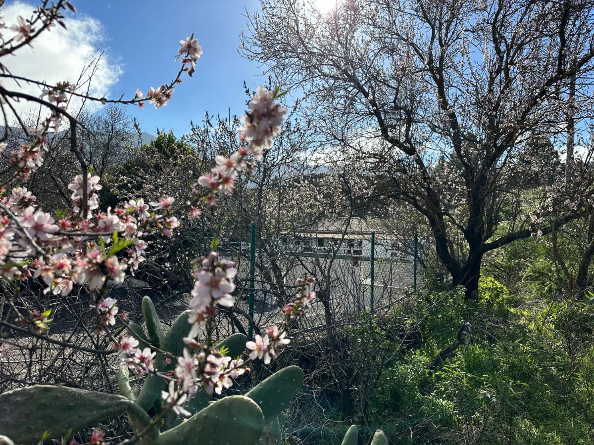 Montana Colorada Villa *