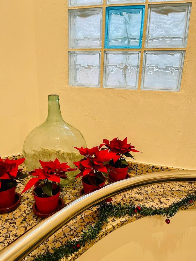 Guest house El Montoro *