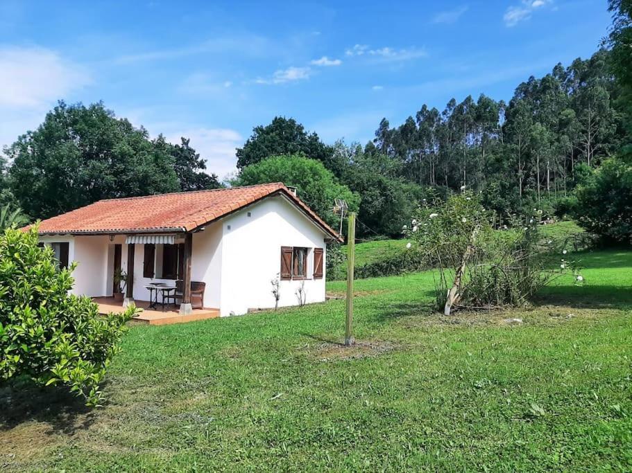 La Rotiza