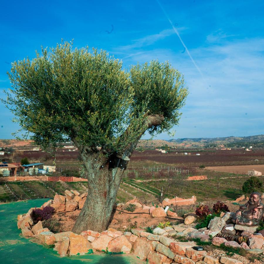 Bed & Breakfast Cabezo Bunuel Rural *