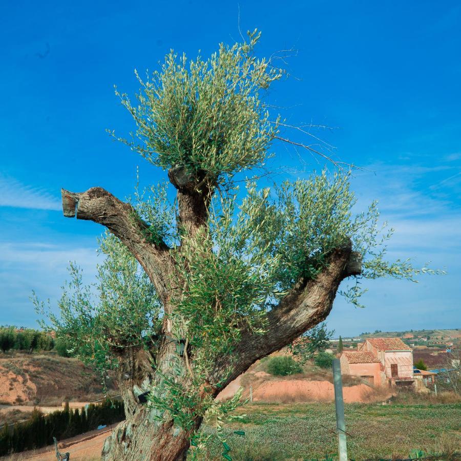 Cabezo Bunuel Rural Calanda