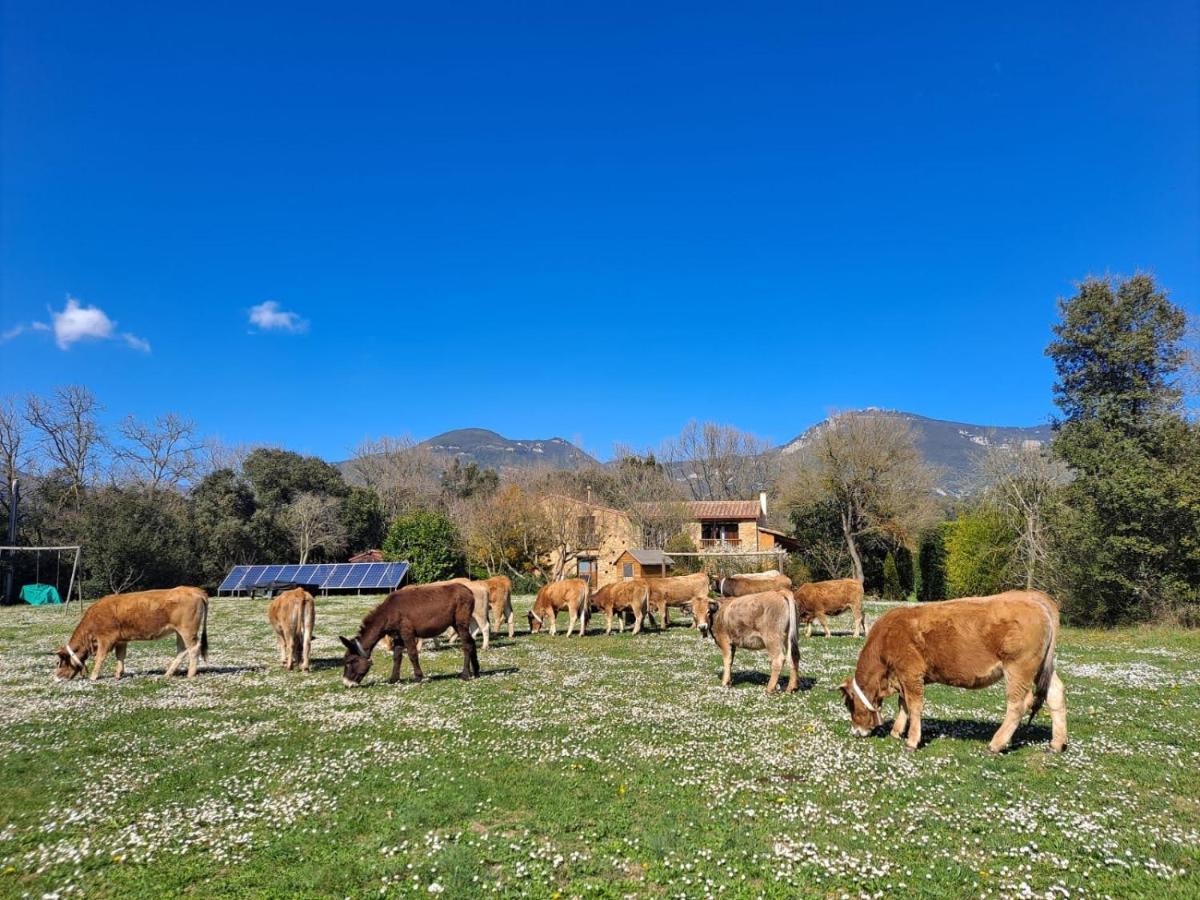 Villa Alojamiento Con Encanto En Cataluna