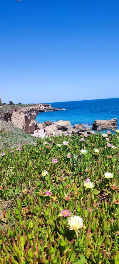 Costa Norte Vinaros