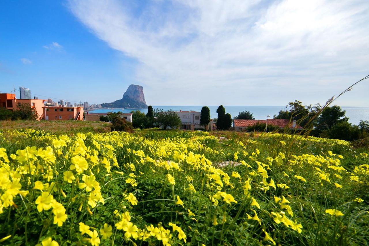 Nova Calpe-borumbot Calpe