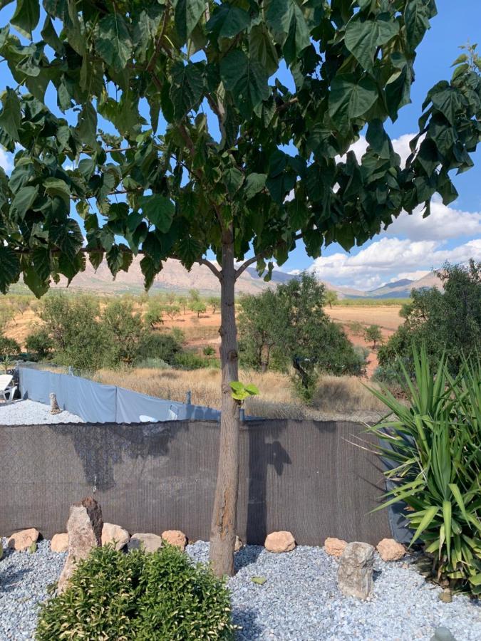 Cortijo Frankie Apartment Chirivel