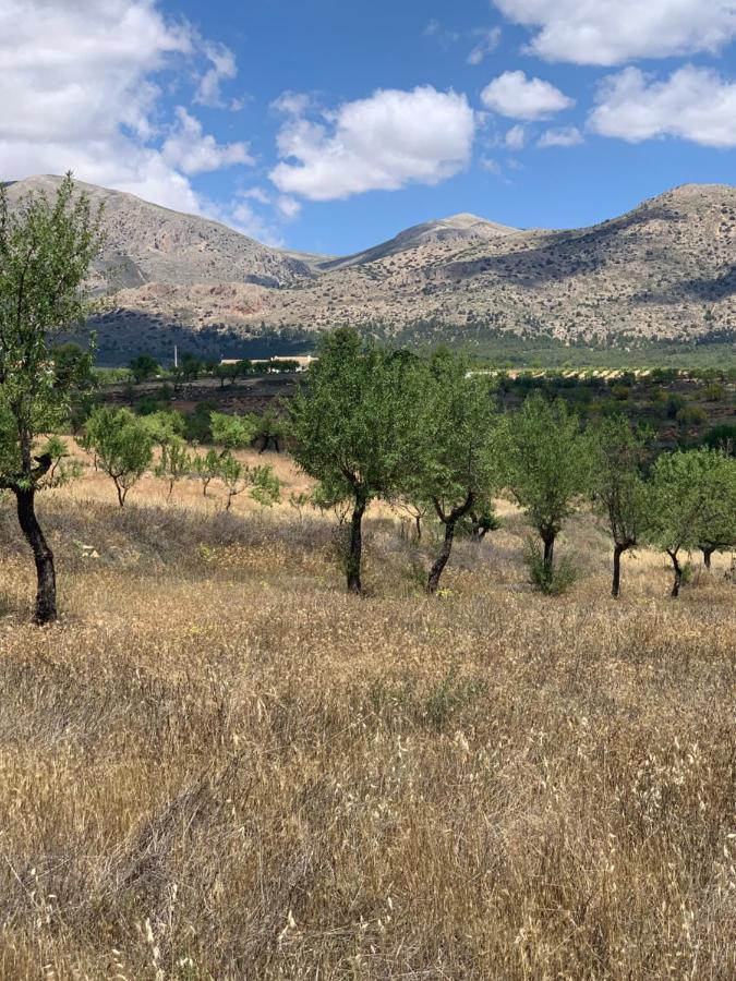 Cortijo Frankie Chirivel