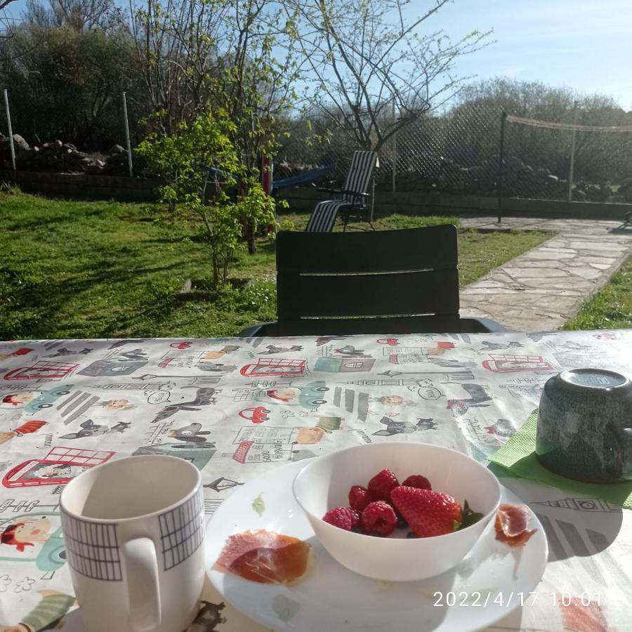 Casa De Huespedes De Hortensias Homestay Bustarviejo
