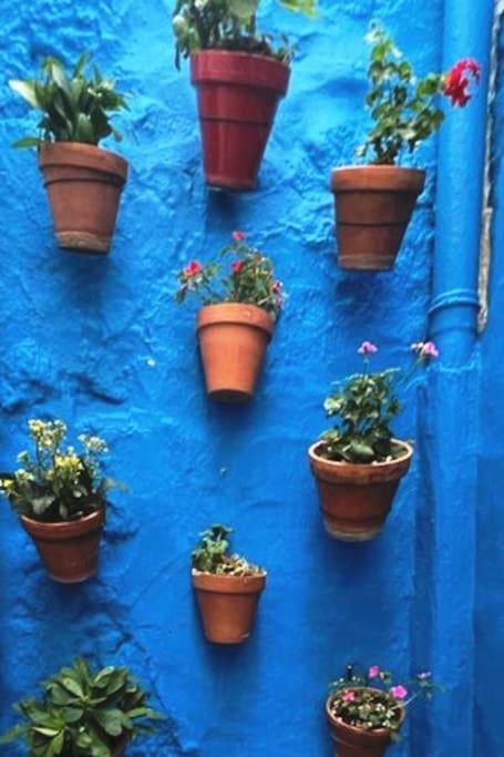 Holiday home Casa Chaouen *