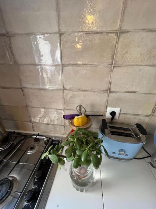 Holiday home Casa Chaouen