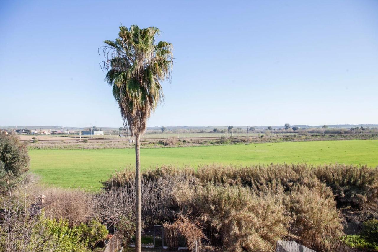 La Palmera
