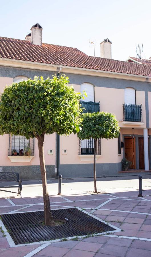 La Palmera *