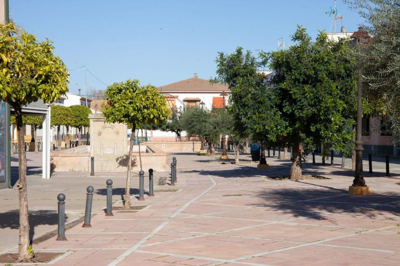 La Palmera * Almodovar del Rio
