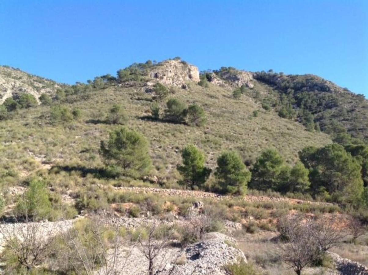 Traditional Spanish Cave House In Alguena