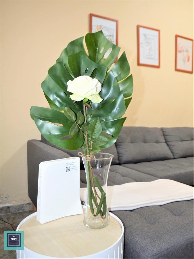 Apartamento Teresa Urban Flat Palmas *