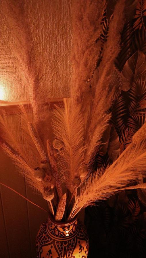 Oasis De Bed and breakfast Bornos