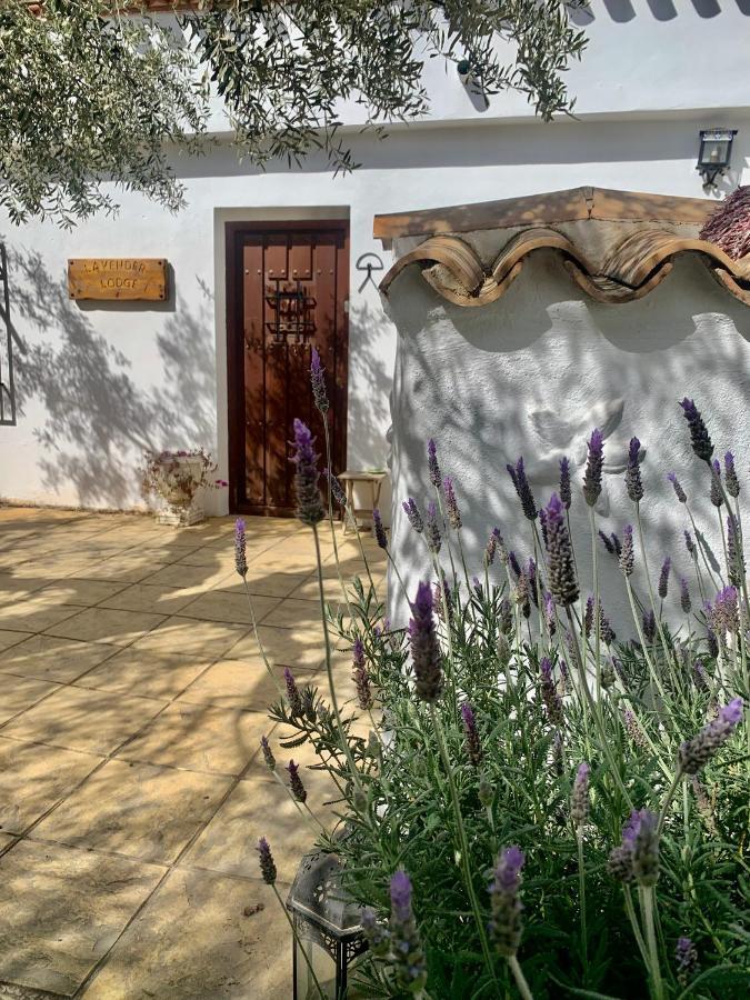 Homestay Lavender Almeria Arboleas