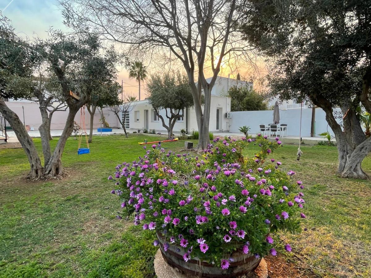 La Senia Apartamento