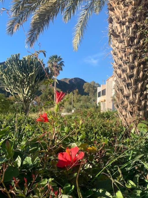 Cervantes 3 Mojacar Сasa de vacaciones
