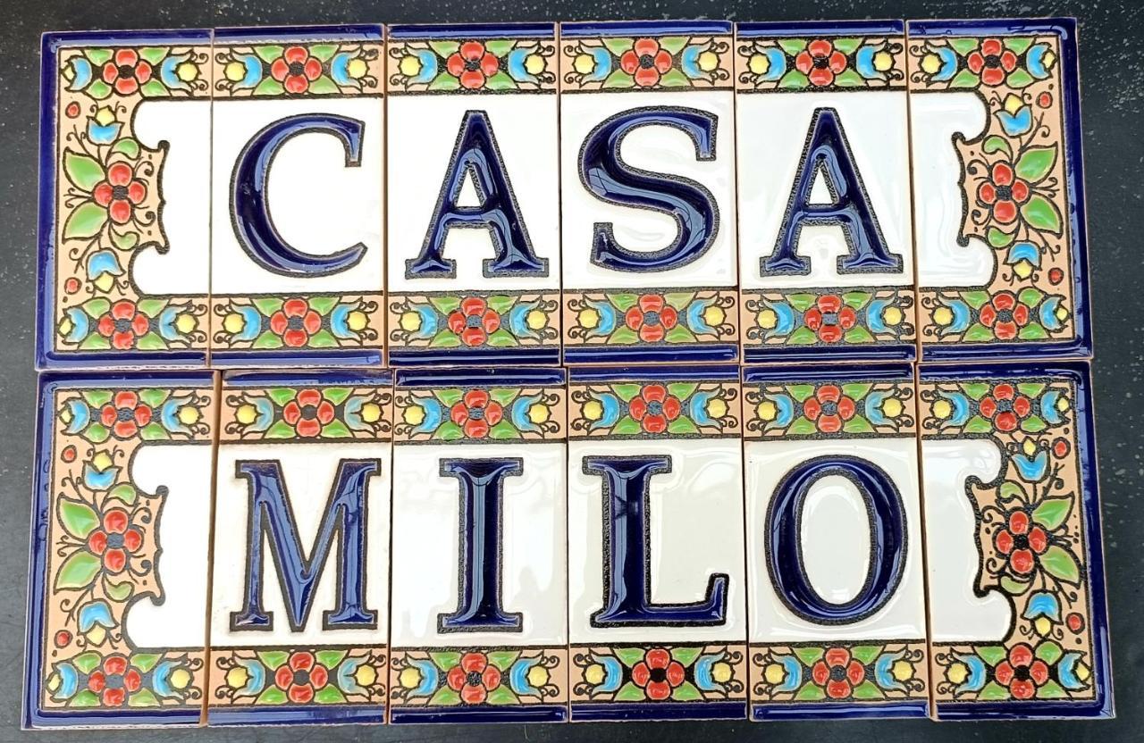 Casa Milo Playa Locos Apartment