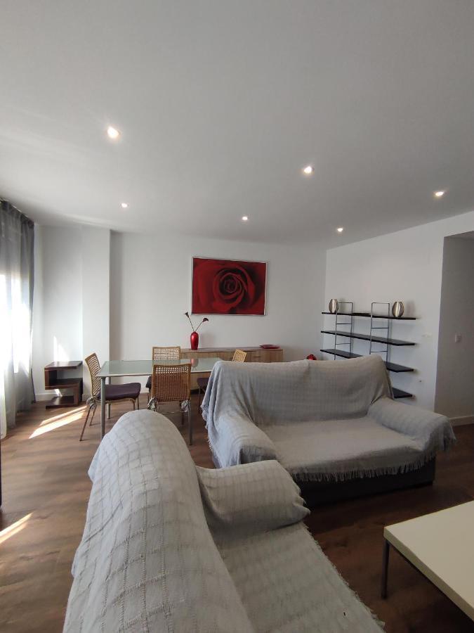 Apartment Ancha Centro