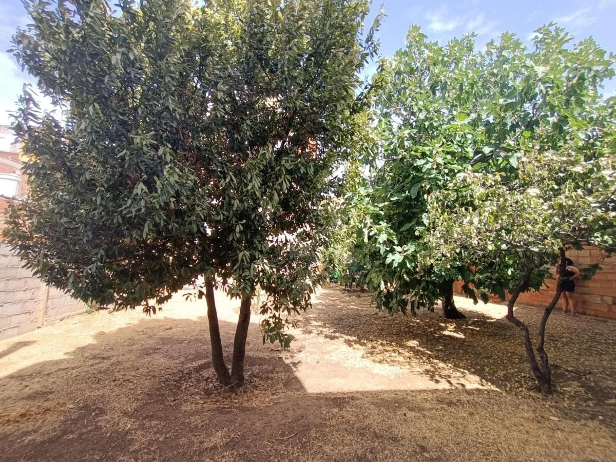 Сasa de vacaciones Vivienda Rural Iberos M&m, *