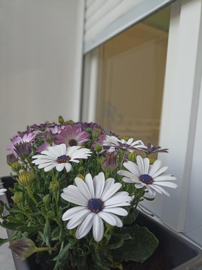 La Del Sastre Guest house Velez Malaga