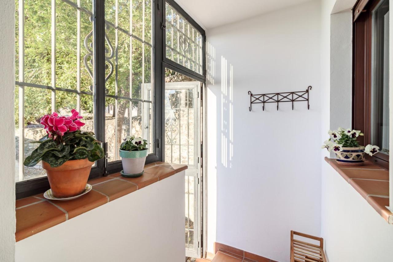 Beautiful Duplex-city Center. Parking By The House