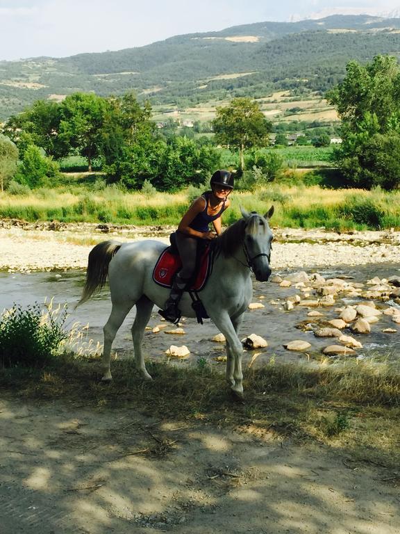 Allotjament Rural La Torre Del Manresa Bed and breakfast *