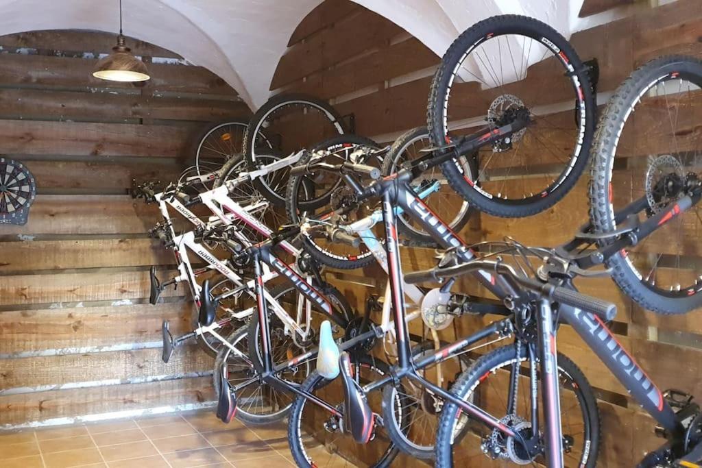 Cal Curpets - Bicicletas Free *