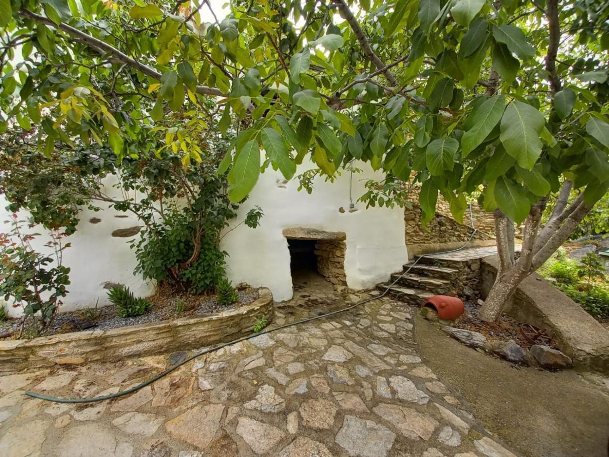 Holiday home Molino *
