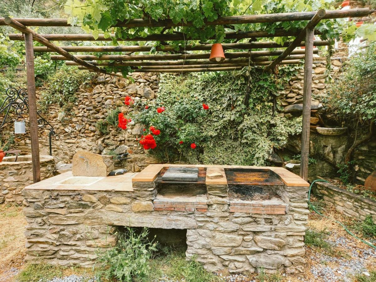 Molino Holiday home Laroya