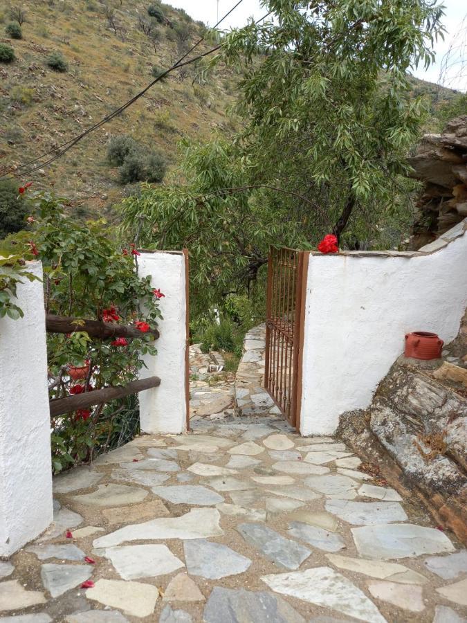 Molino