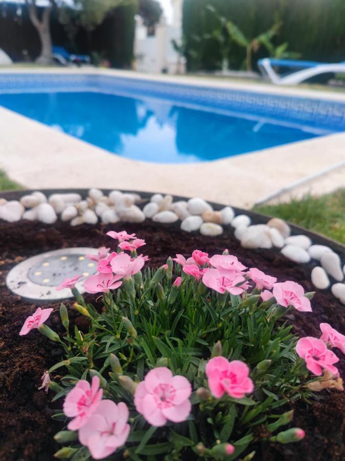 Lujosa Con Spa, Piscina Y Sala De Juegos Privados Miami Playa