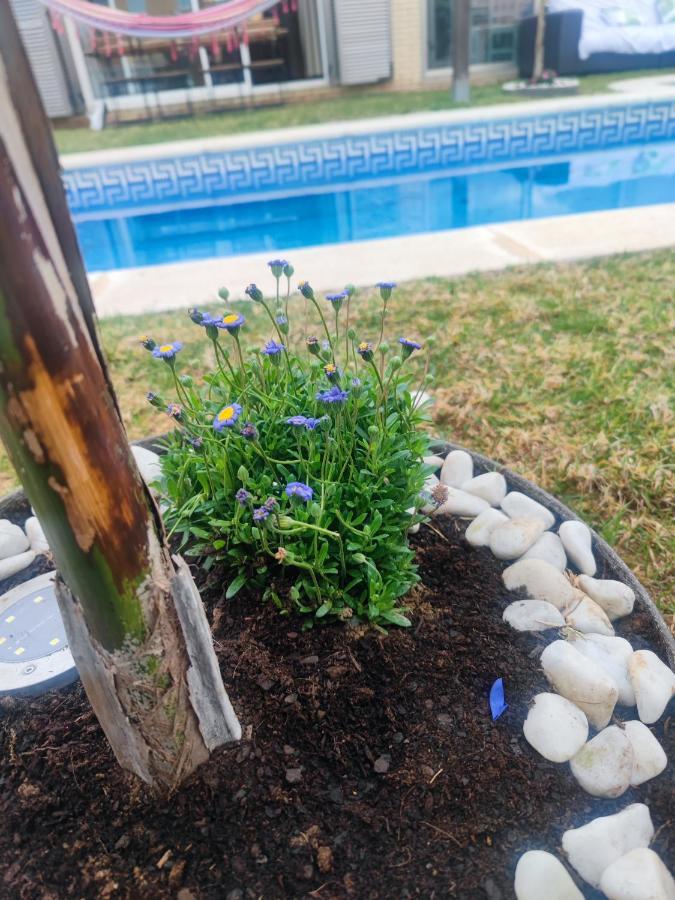 Lujosa Con Spa, Piscina Y Sala De Juegos Privados Villa