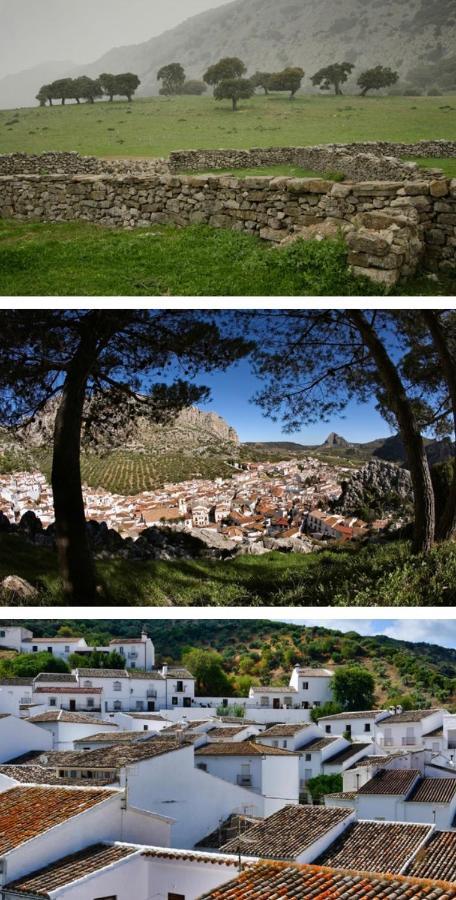 Hotel Rural Palacete De Manara Hotel 3*